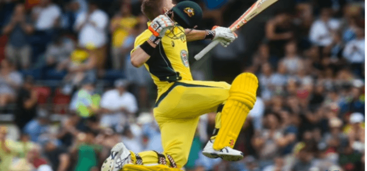 Warner Profile