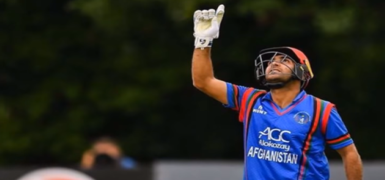 Hashmatullah Shahidi Career Stats